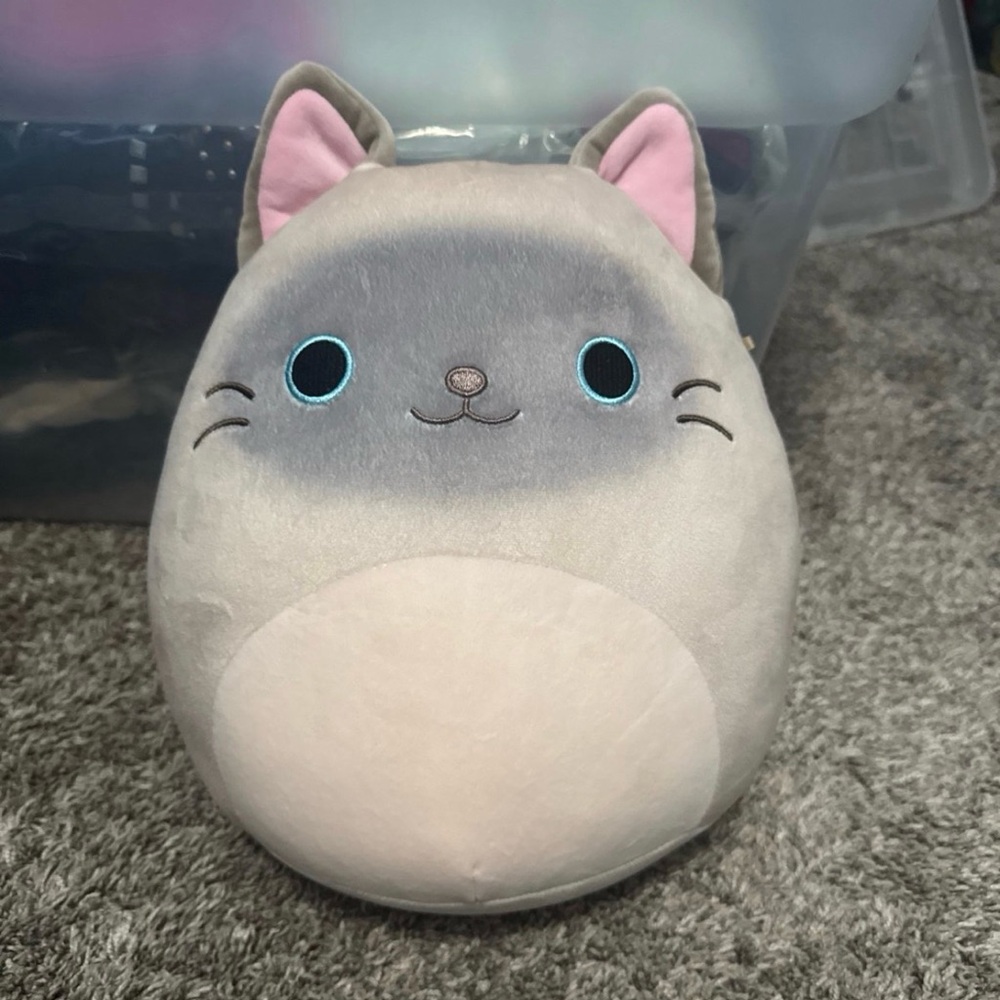 Gray and Pink Cat Squishmallow